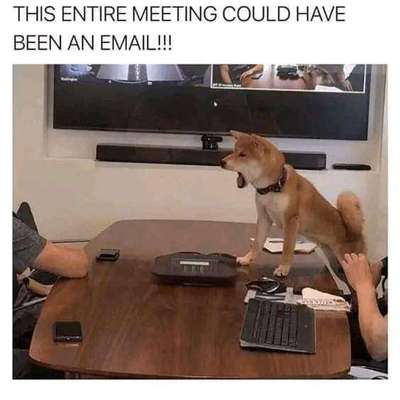 Hunde Memes-Beitrag-Bild