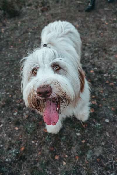 Handy-Foto Challange Nr. 10-Beitrag-Bild