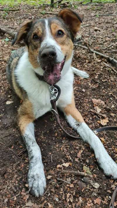 12. Farben Foto Challenge --- Braun-Beitrag-Bild