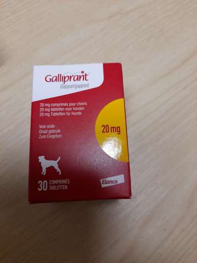 kennt das jemand hat jemand dort erfahrungen?-Beitrag-Bild