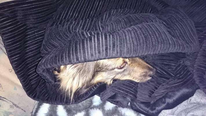 Challenge 21 - wo bin ich : )-Beitrag-Bild