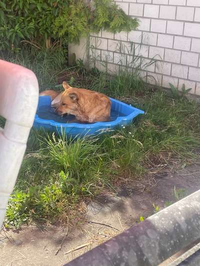 140. Foto Challenge - schattiges Plätzchen-Beitrag-Bild