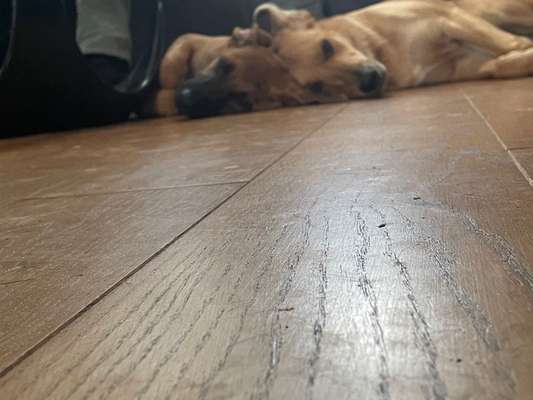 Fotochallange Nr. 57     PORTRÄT.   Beendet!!!!!!!!-Beitrag-Bild