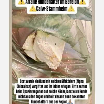 Giftköder-Rattengiftköder-Bild