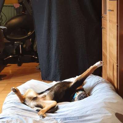 Fotochallenge Nr.65-Beitrag-Bild