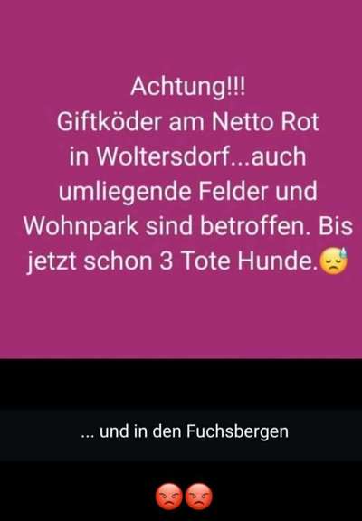 Giftköder-Rattengift-Bild