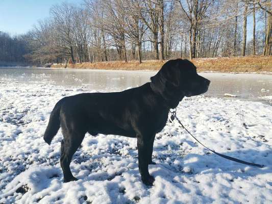 Der Gewichts-Thread-Beitrag-Bild