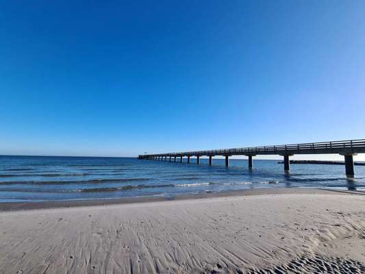 Schöner Hundestrand an der Ostsee in Schleswig-Holstein gesucht.-Beitrag-Bild