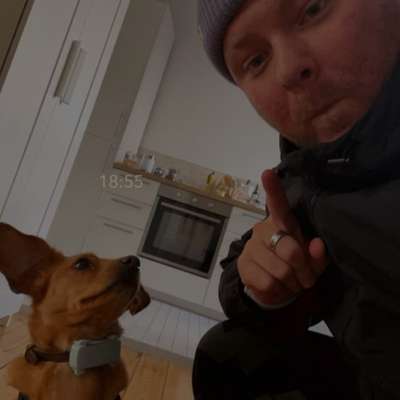 Hundetreffen-Spazier und Flitzpartner gesucht-Bild