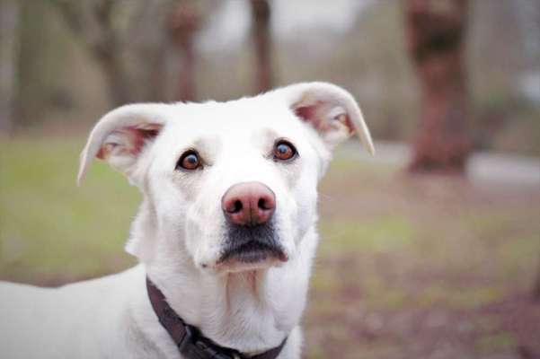 Lieblingsbild-Beitrag-Bild