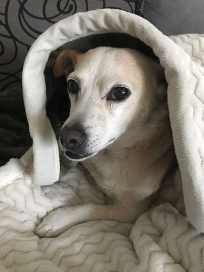 Fotochallenge Nr. 56 - geliebte Senioren-Beitrag-Bild