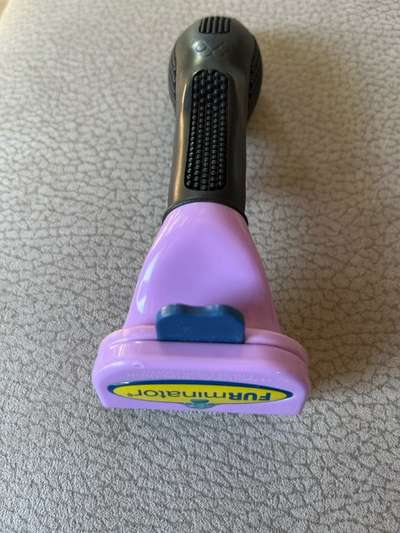 Furminator und Softbürste für kleine Hunde-Beitrag-Bild