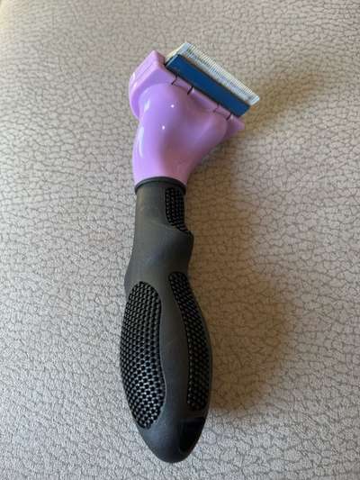 Furminator und Softbürste für kleine Hunde-Beitrag-Bild