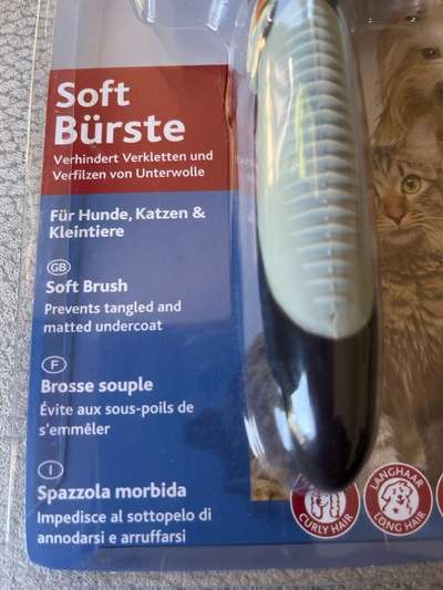 Furminator und Softbürste für kleine Hunde-Beitrag-Bild