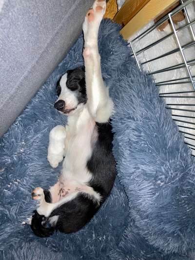 Fotochallenge Nr.65-Beitrag-Bild