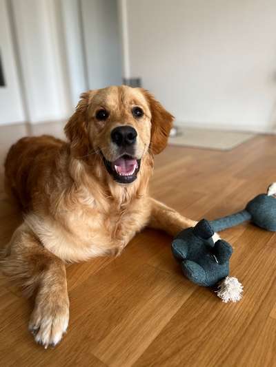 Kühlmatten-Beitrag-Bild