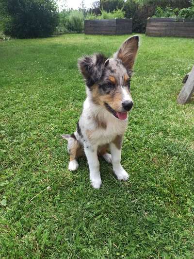 Lieblingsbild-Beitrag-Bild