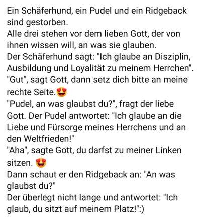 Rhodesian Ridgeback-Beitrag-Bild