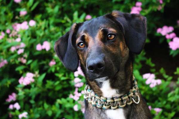 Fotochallange Nr. 57     PORTRÄT.   Beendet!!!!!!!!-Beitrag-Bild