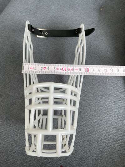 Wie sitzt mein Maulkorb / Maulkorb-Beratung-Beitrag-Bild