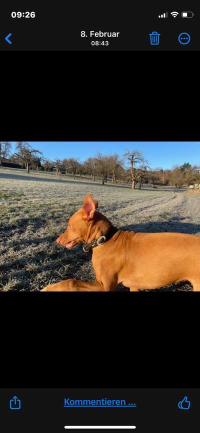 "Die eingefangene Magie des Augenblicks"-Beitrag-Bild