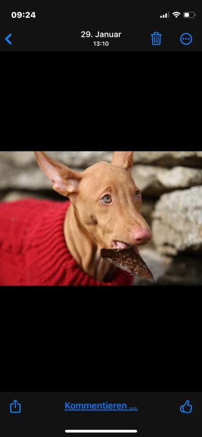 "Die eingefangene Magie des Augenblicks"-Beitrag-Bild