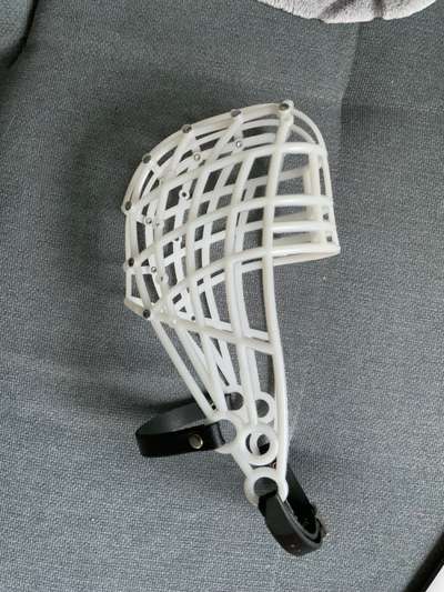 Wie sitzt mein Maulkorb / Maulkorb-Beratung-Beitrag-Bild