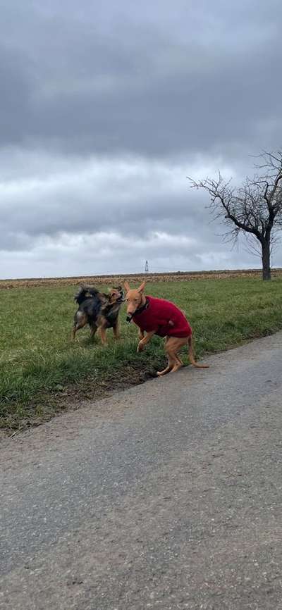 "Die eingefangene Magie des Augenblicks"-Beitrag-Bild