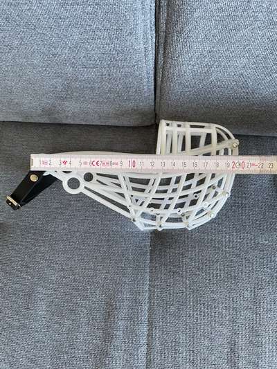 Wie sitzt mein Maulkorb / Maulkorb-Beratung-Beitrag-Bild