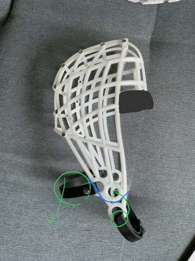 Wie sitzt mein Maulkorb / Maulkorb-Beratung-Beitrag-Bild