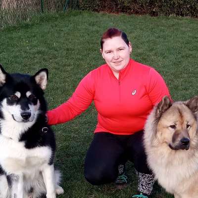 Hundeschulen-Nina Hammig - Training für Mensch & Hund-Bild