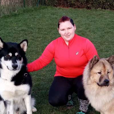 Hundeschulen-Nina Hammig - Training für Mensch & Hund-Bild
