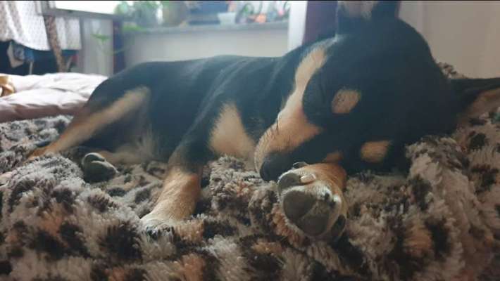 FOTO-Challenge  NR. 91: Die pure Entspannung-Beitrag-Bild