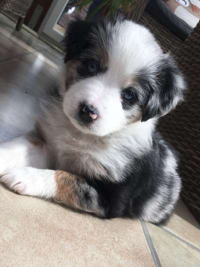 Foto Challenge 3-Beitrag-Bild