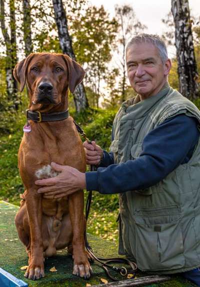 Rhodesian Ridgeback-Beitrag-Bild