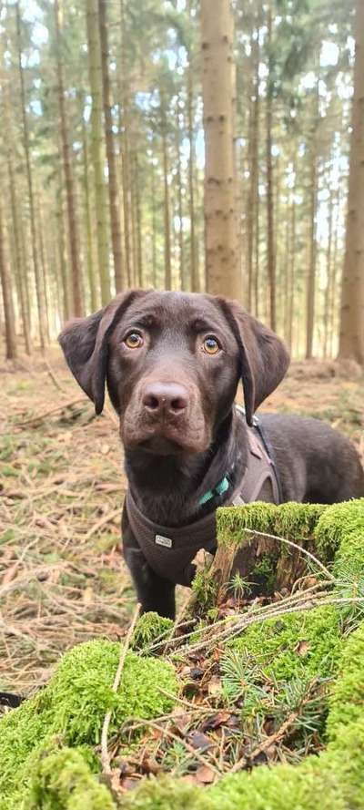 Fotowettbewerb Natur-Beitrag-Bild