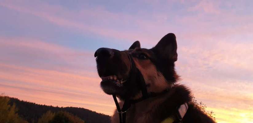 Zeigt eure Portraits-Beitrag-Bild