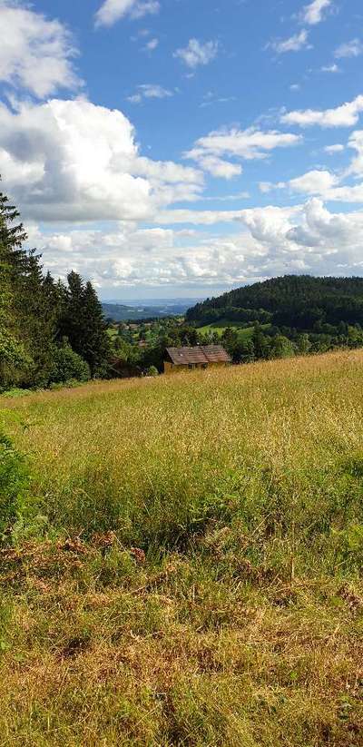 In welchem bundesland lebt ihr-Beitrag-Bild