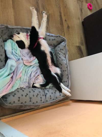 Die unbequemsten und lustigsten Schlafpositionen-Beitrag-Bild