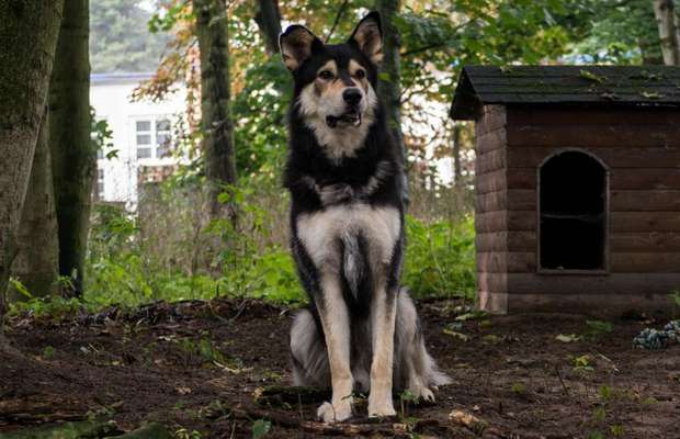 12. Farben Foto Challenge --- Braun-Beitrag-Bild