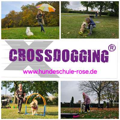 Giftköder-Crossdogging-Bild