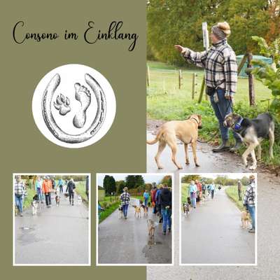 Giftköder-Social Walk | Rudelrunde-Bild