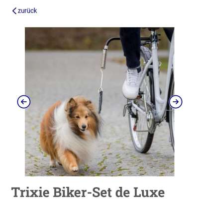 Radfahren mit Hund-Beitrag-Bild