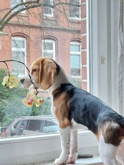 Fotos &Collagen: Beobachtungsposten-Beitrag-Bild