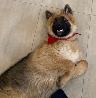 Lustige Bilder-Beitrag-Bild