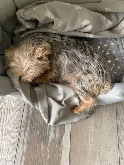 Foto Challenge Nr. 134-Beitrag-Bild