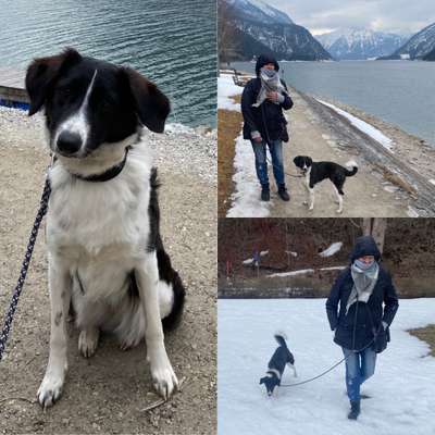 Hundmenschfotos-Beitrag-Bild