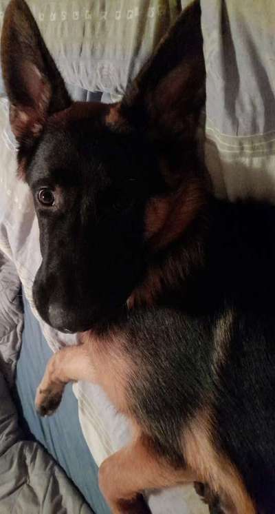 Schlafzeit!💖-Beitrag-Bild