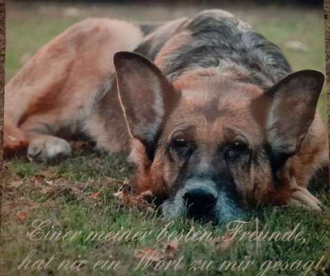 Fotochallenge Nr. 56 - geliebte Senioren-Beitrag-Bild