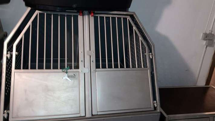 Alles rund um den Schäferhund, diskutieren erwünscht.-Beitrag-Bild